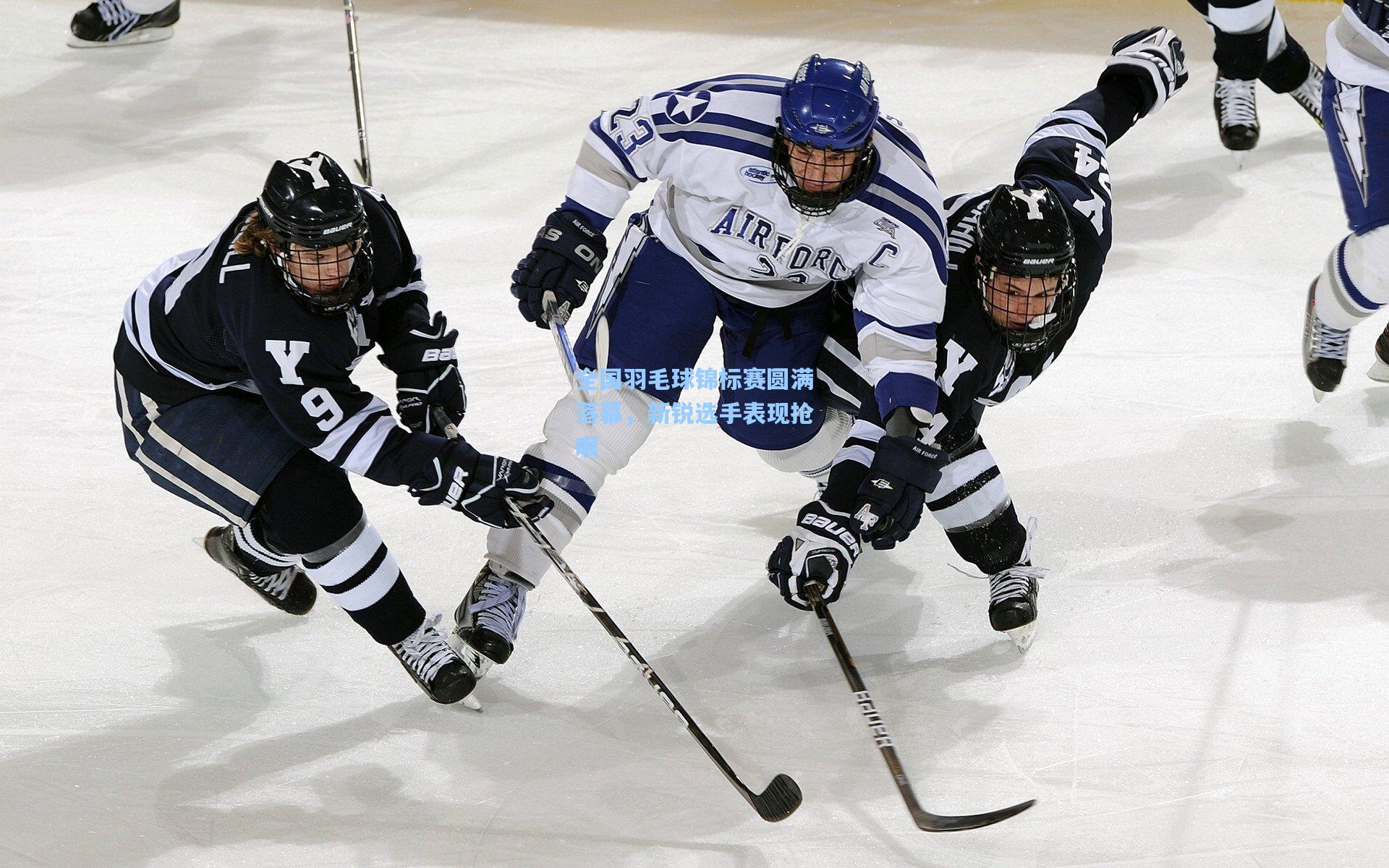 全国羽毛球锦标赛圆满落幕,新锐选手表现抢眼