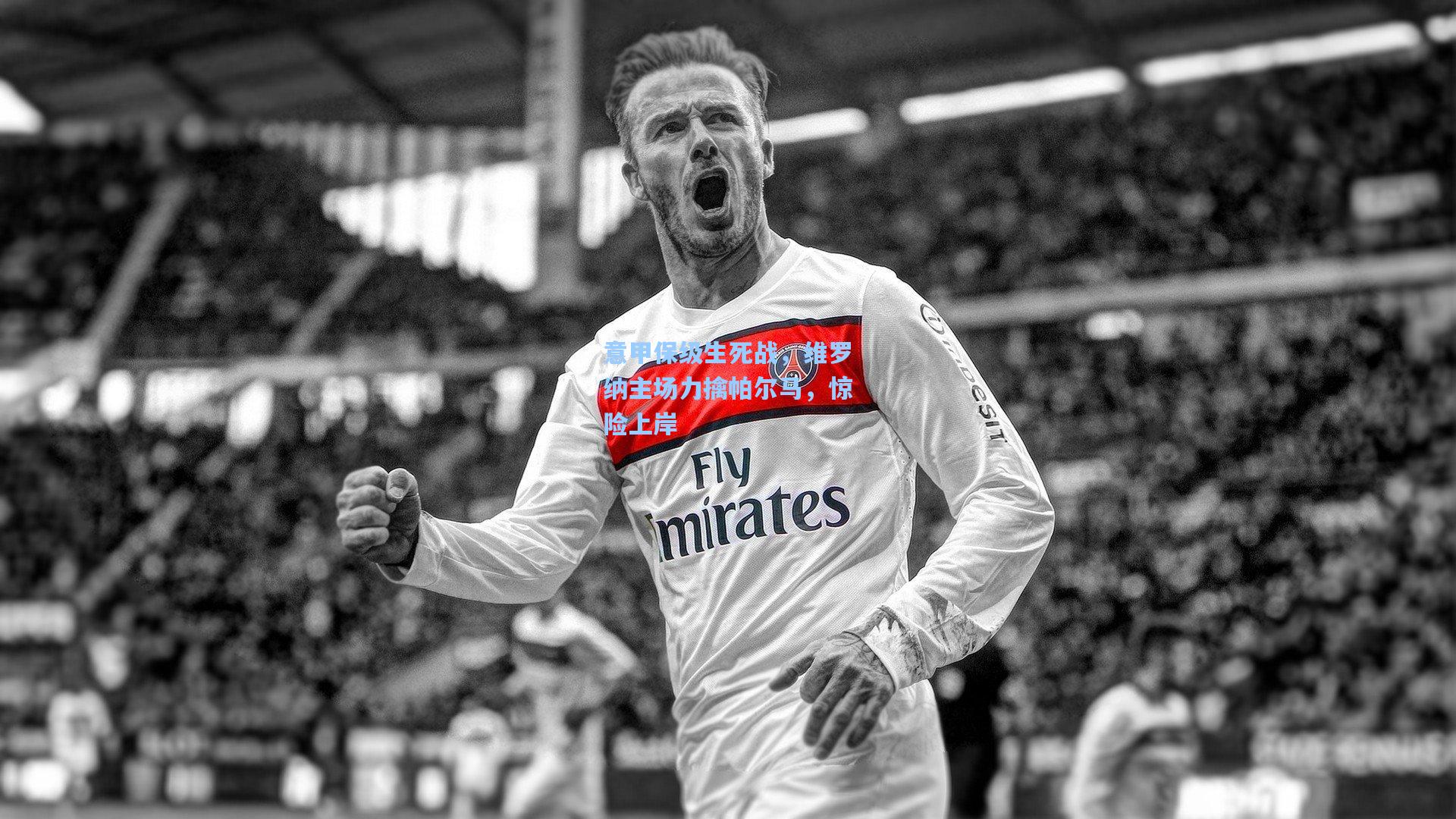 意甲保级生死战,维罗纳主场力擒帕尔马,惊险上岸