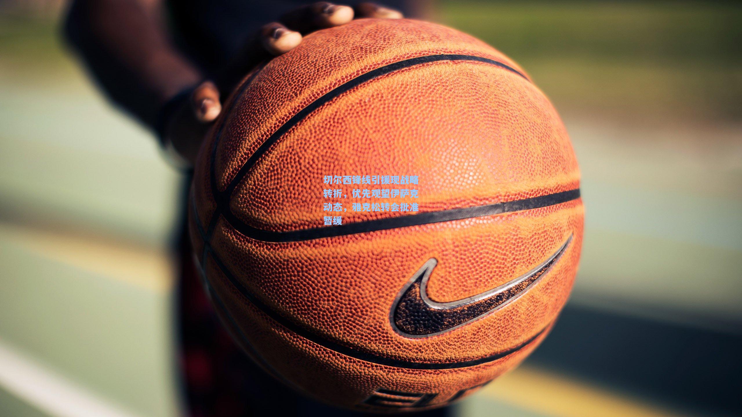 切尔西锋线引援现战略转折,优先观望伊萨克动态,雅克松转会批准暂缓